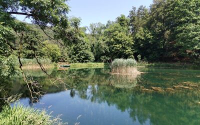 Terenska nastava 5. i 7. razreda u PP Papuk